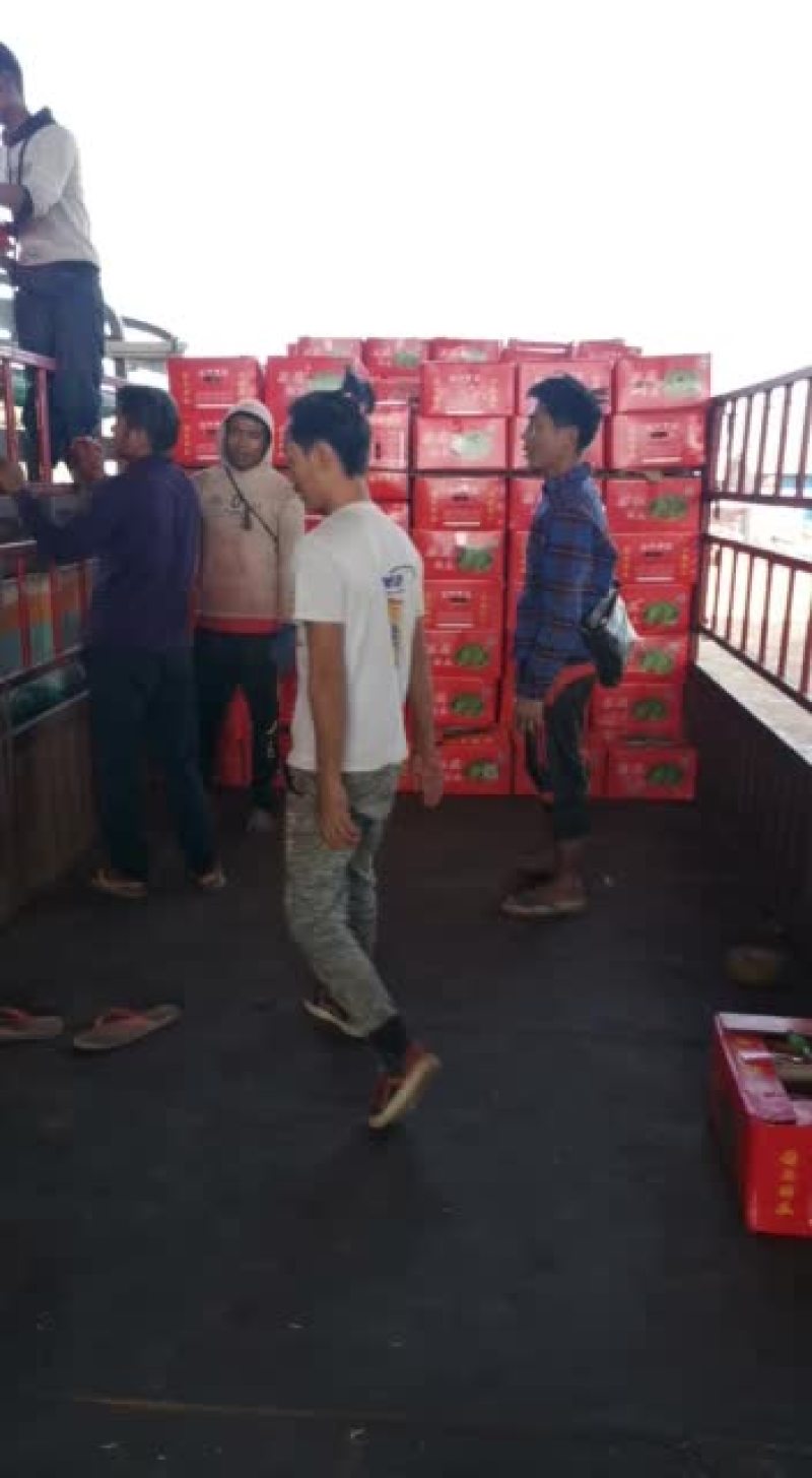 缅甸麒麟瓜走货中价格美丽产地直销诚信代办