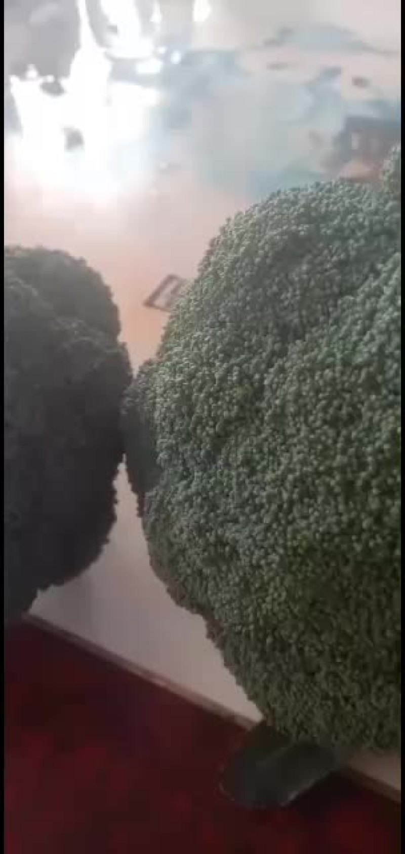 我们经营西兰花大量共应