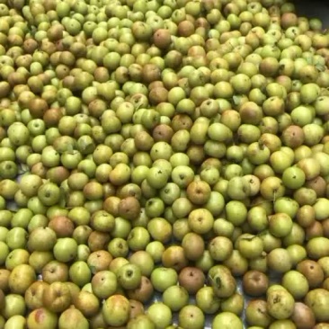 甜油甘反花鲜榨果汁