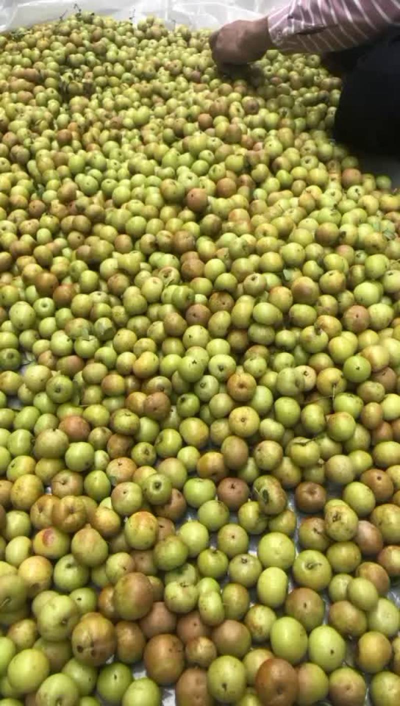 甜油甘反花鲜榨果汁