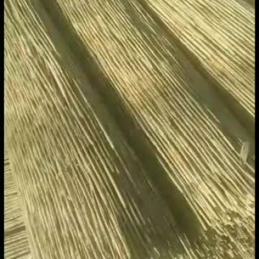 芦苇帘防沙，绿化，建筑，出口等