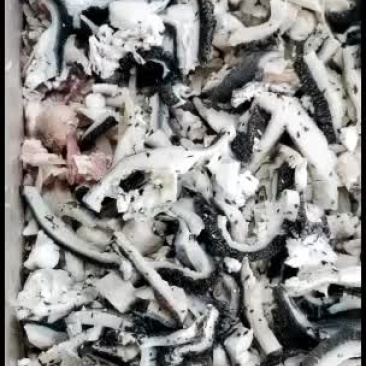 高品质熟羊杂，熟牛杂，比例高