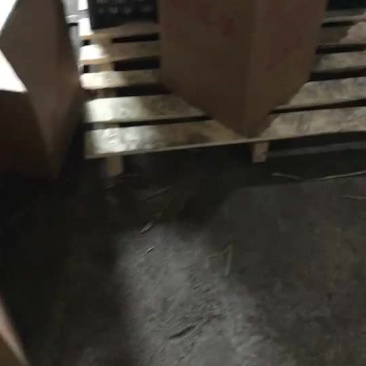 辽宁省一手货源松花蛋