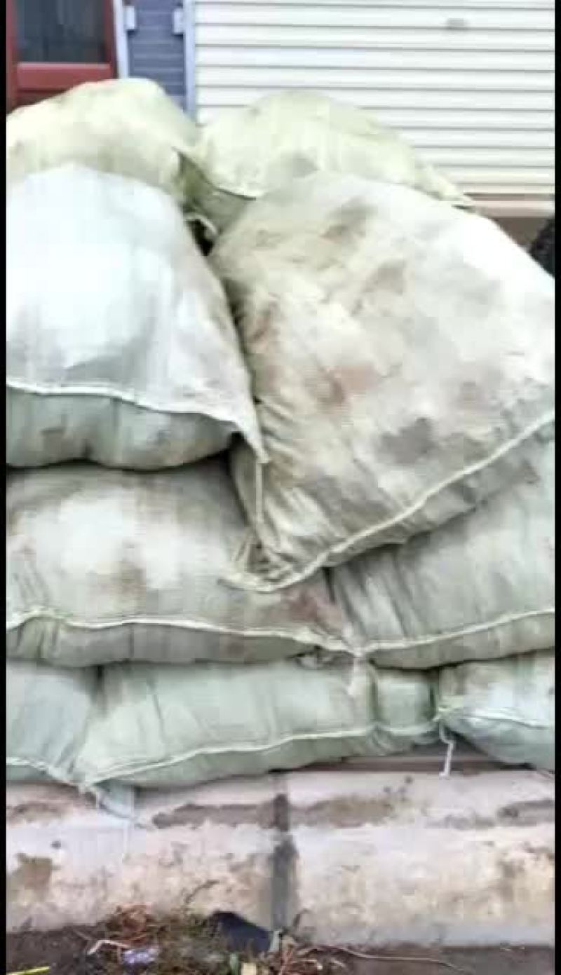 全国各地大量批发优质黄花菜苗，