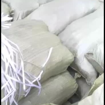 全国各地大量批发优质黄花菜苗，