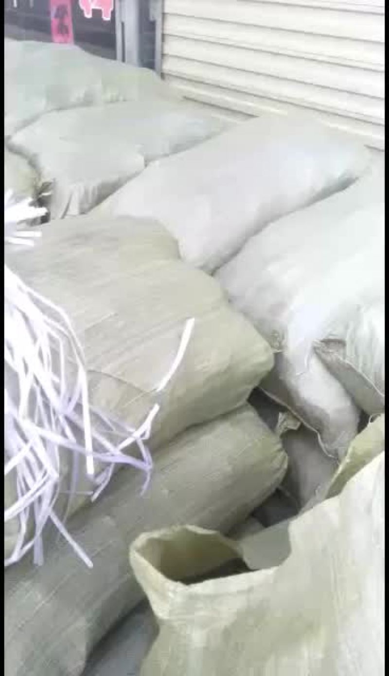 全国各地大量批发优质黄花菜苗，