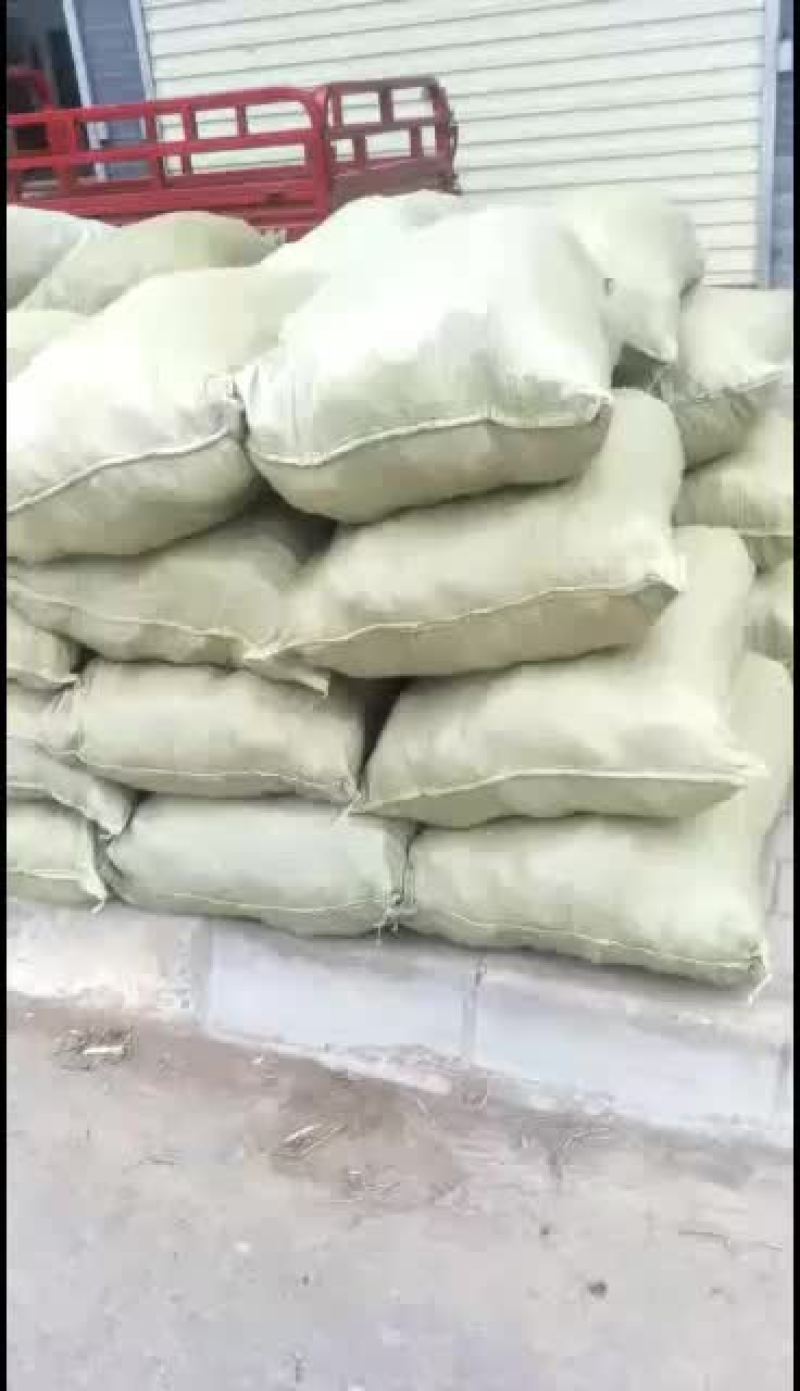 全国各地大量批发优质黄花菜苗，