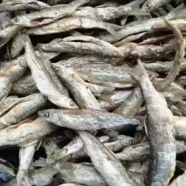 开肚油炸小白条，镰刀，专供批发商