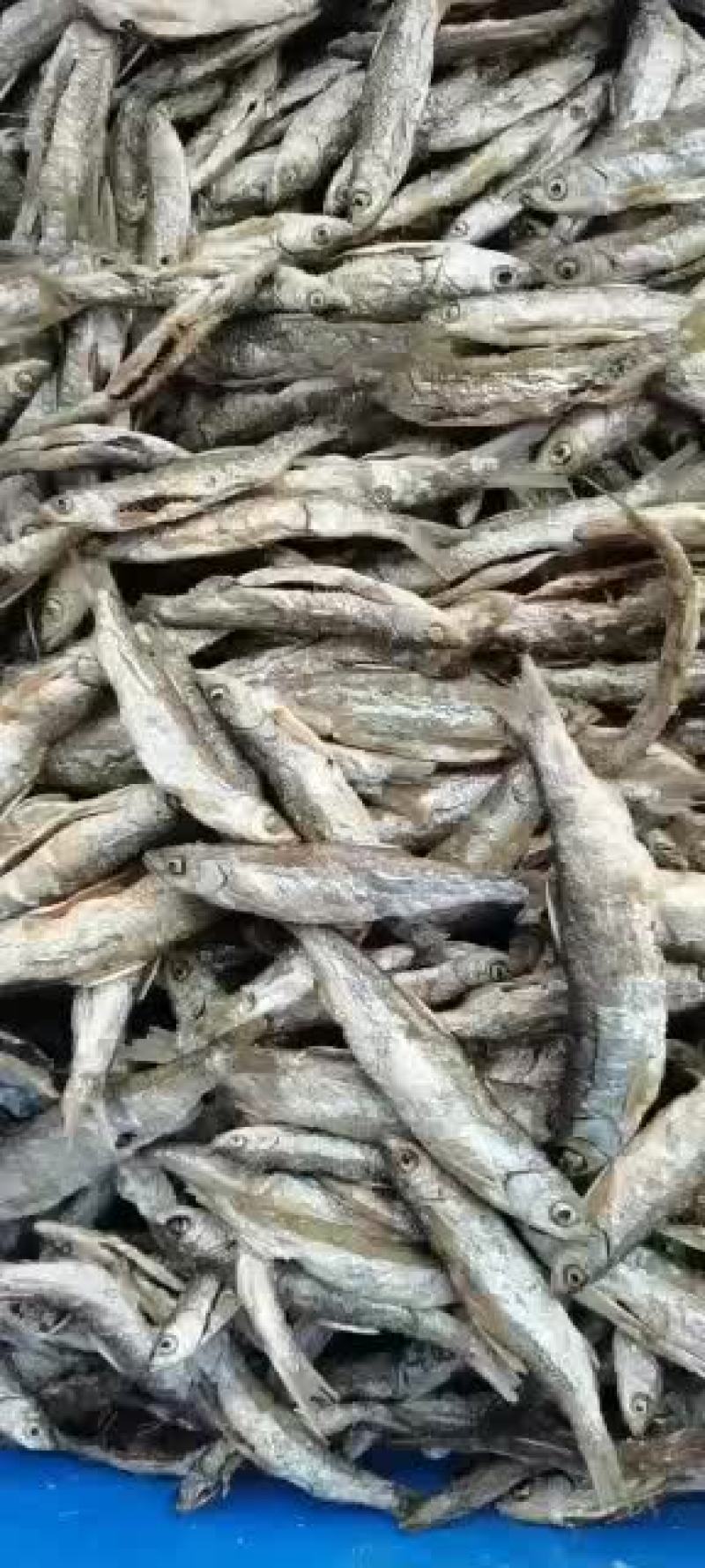 开肚油炸小白条，镰刀，专供批发商