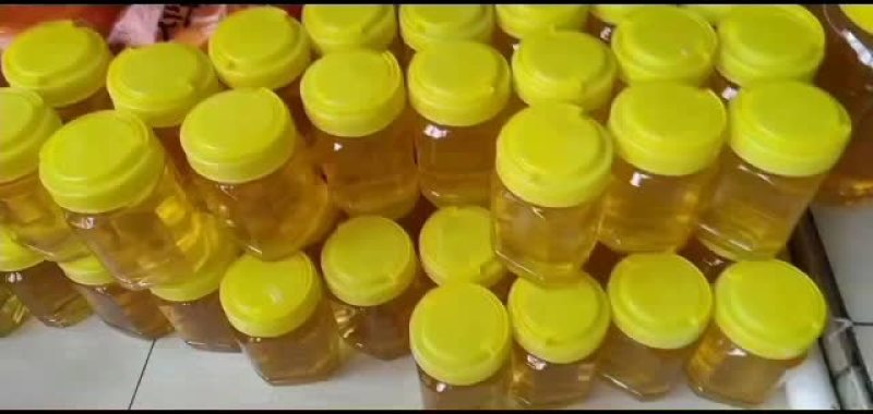批发东北椴树蜜自产自销
