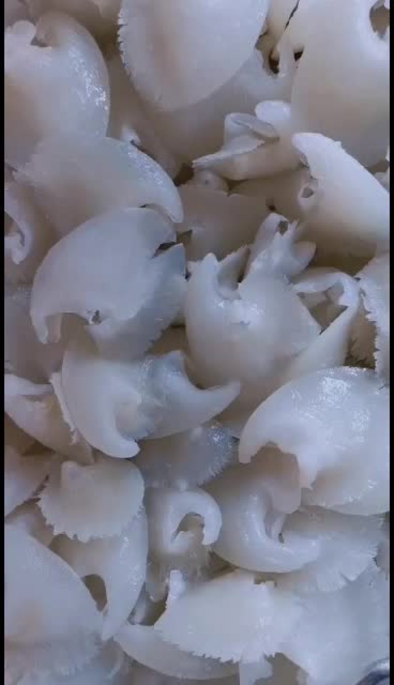 各规格水发金勾翅鱼翅翅针牙拣翅肉翅花胶小龙胶