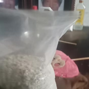 常年供应柴子粉，葛根粉，假一赔一千元