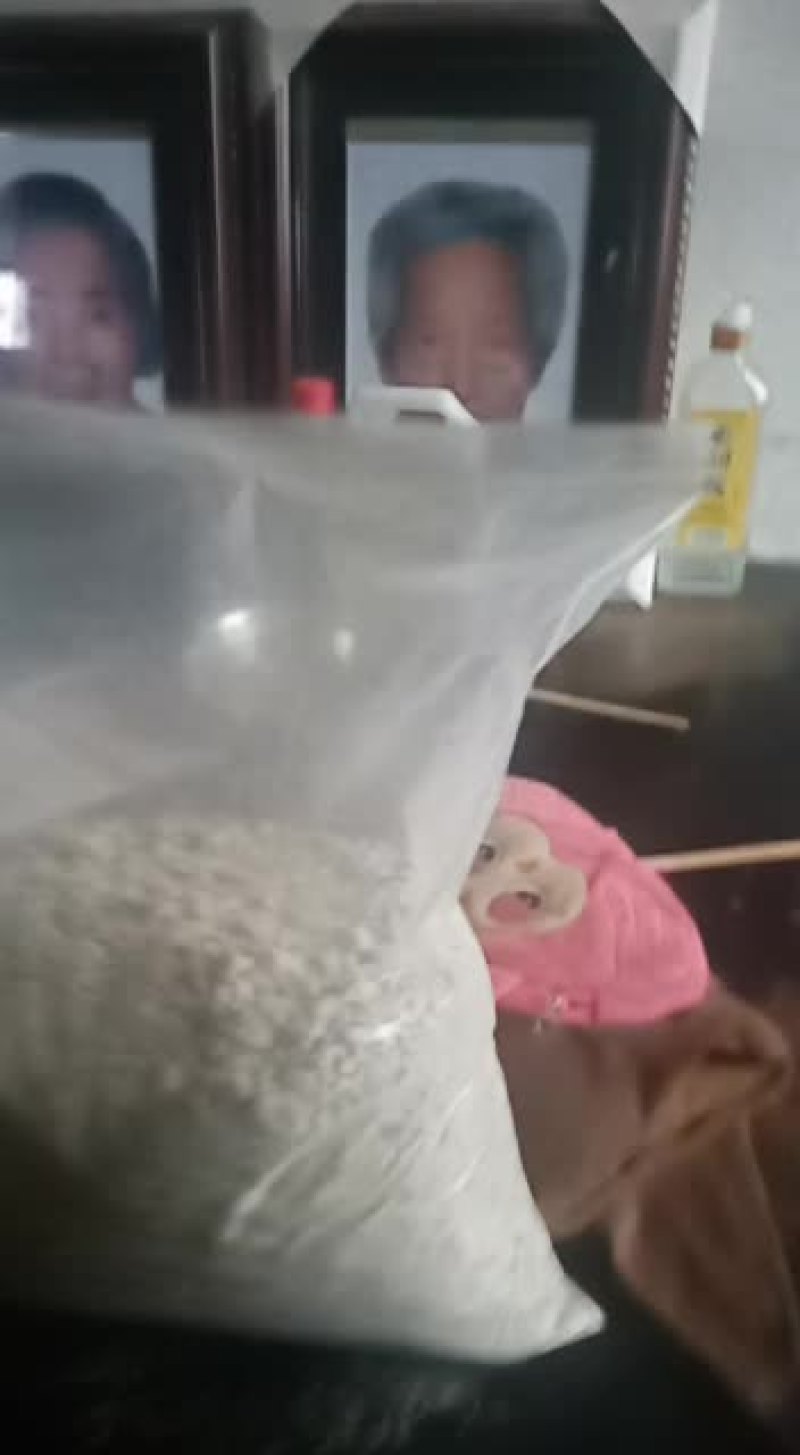 常年供应柴子粉，葛根粉，假一赔一千元