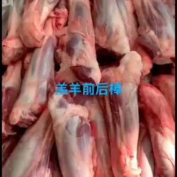 羊前棒，羊后棒发货全国各地