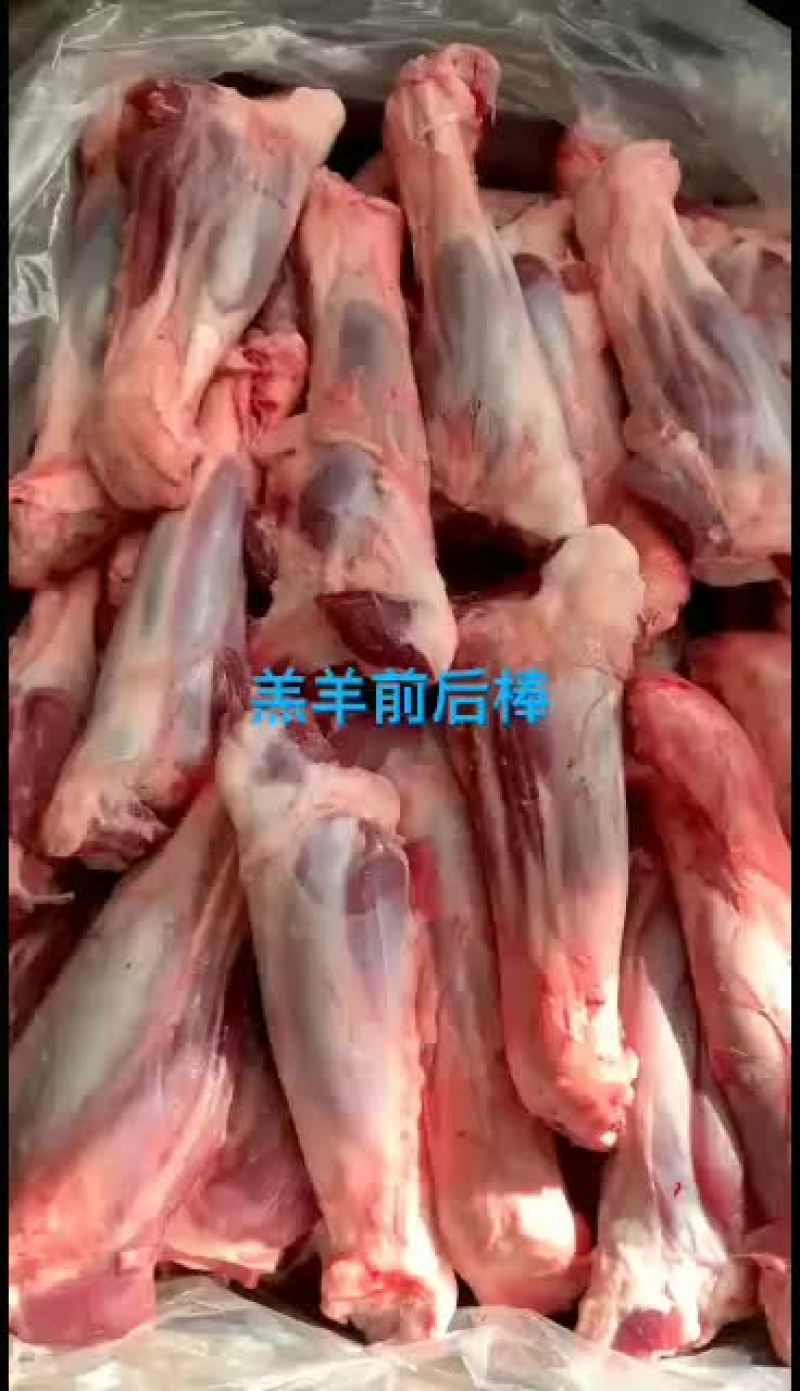 羊前棒，羊后棒发货全国各地