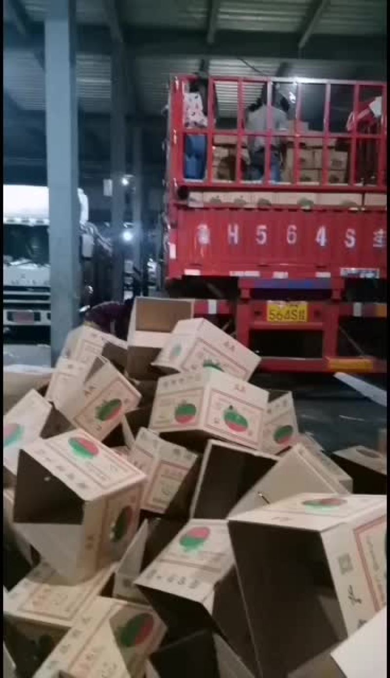 缅甸甜王价格下滑了欢迎大家选购