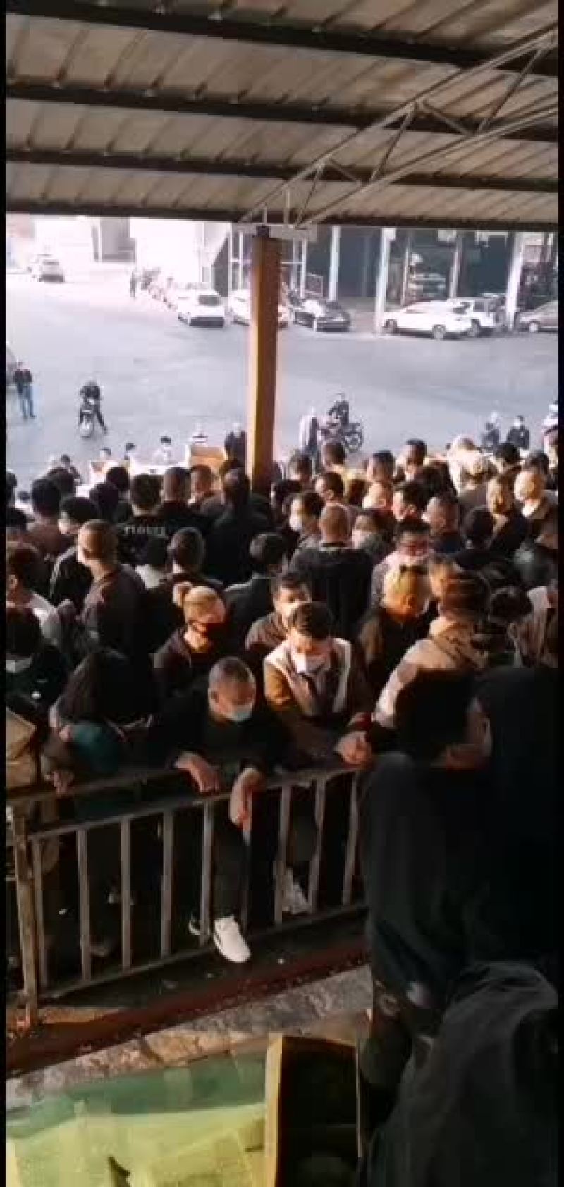 缅甸甜王价格下滑了欢迎大家选购