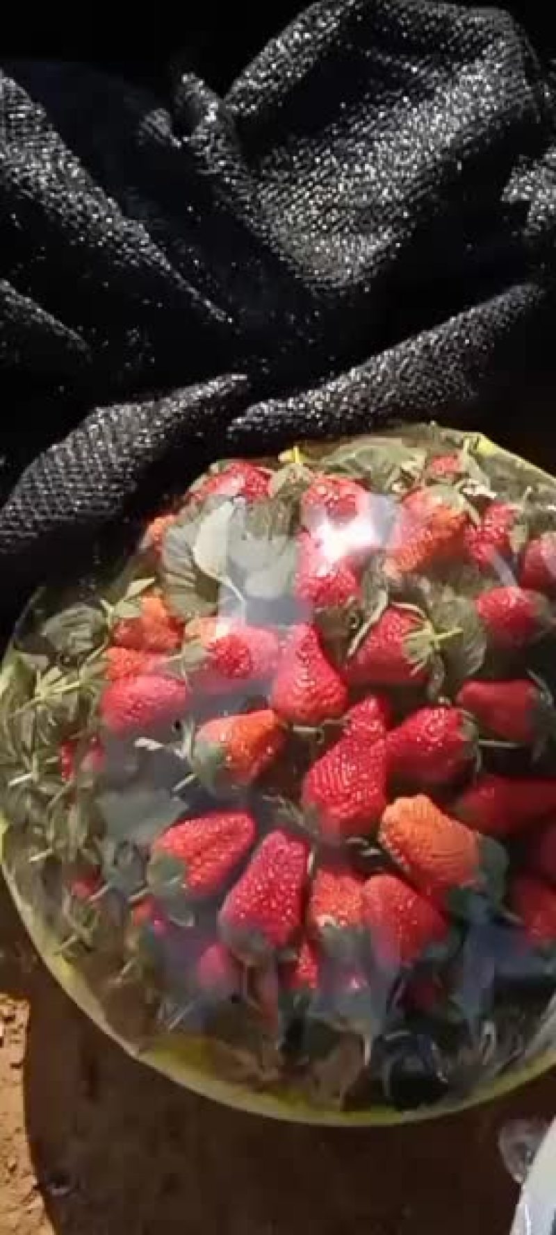 永仁草莓个大味美，欢迎选购