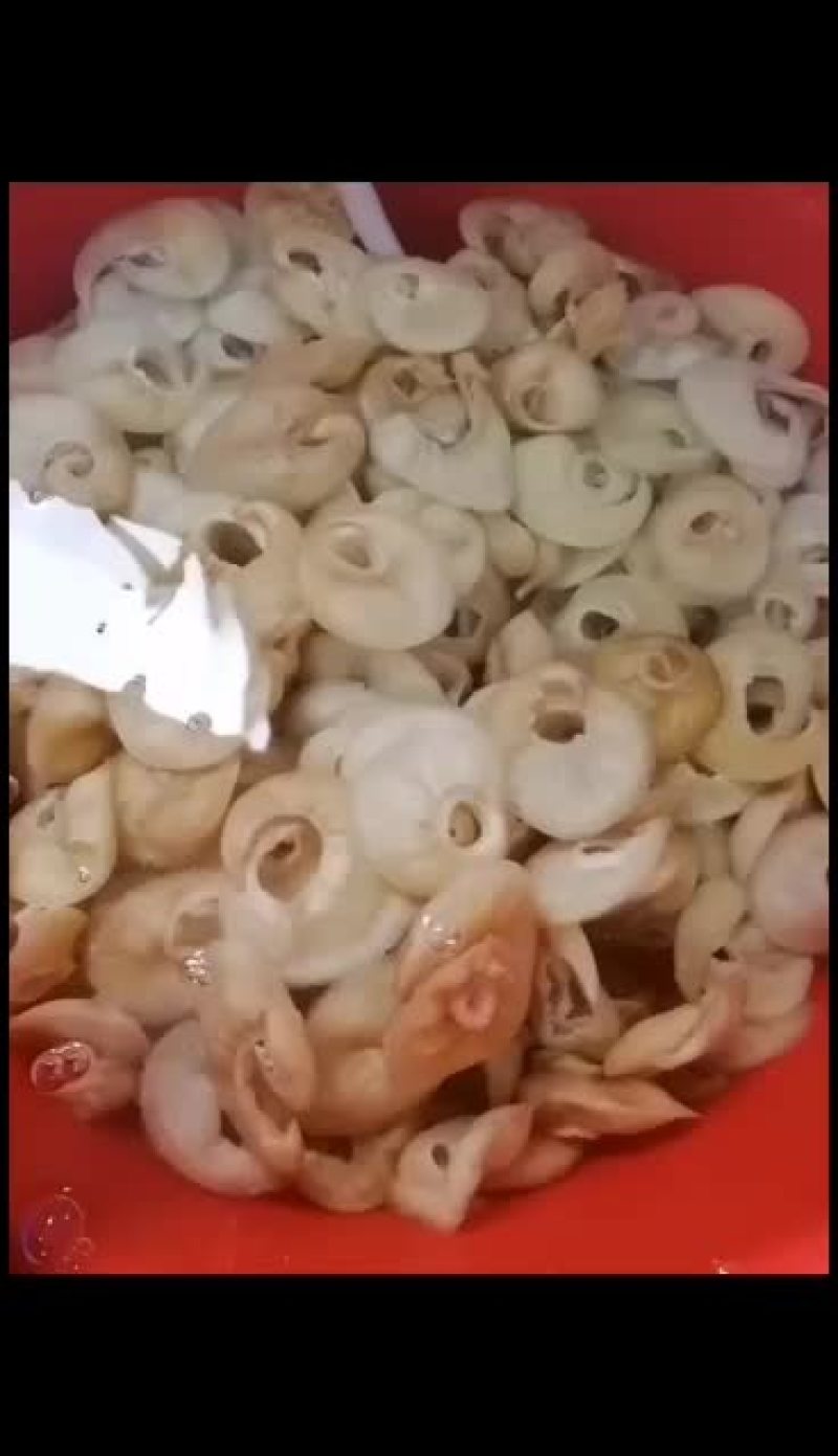 各规格水发金勾翅鱼翅翅针牙拣翅肉翅花胶小龙胶