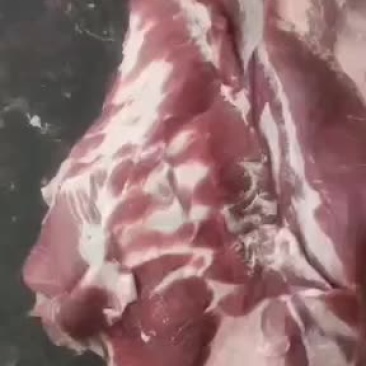 母猪带皮五花肉，，去皮五花肉