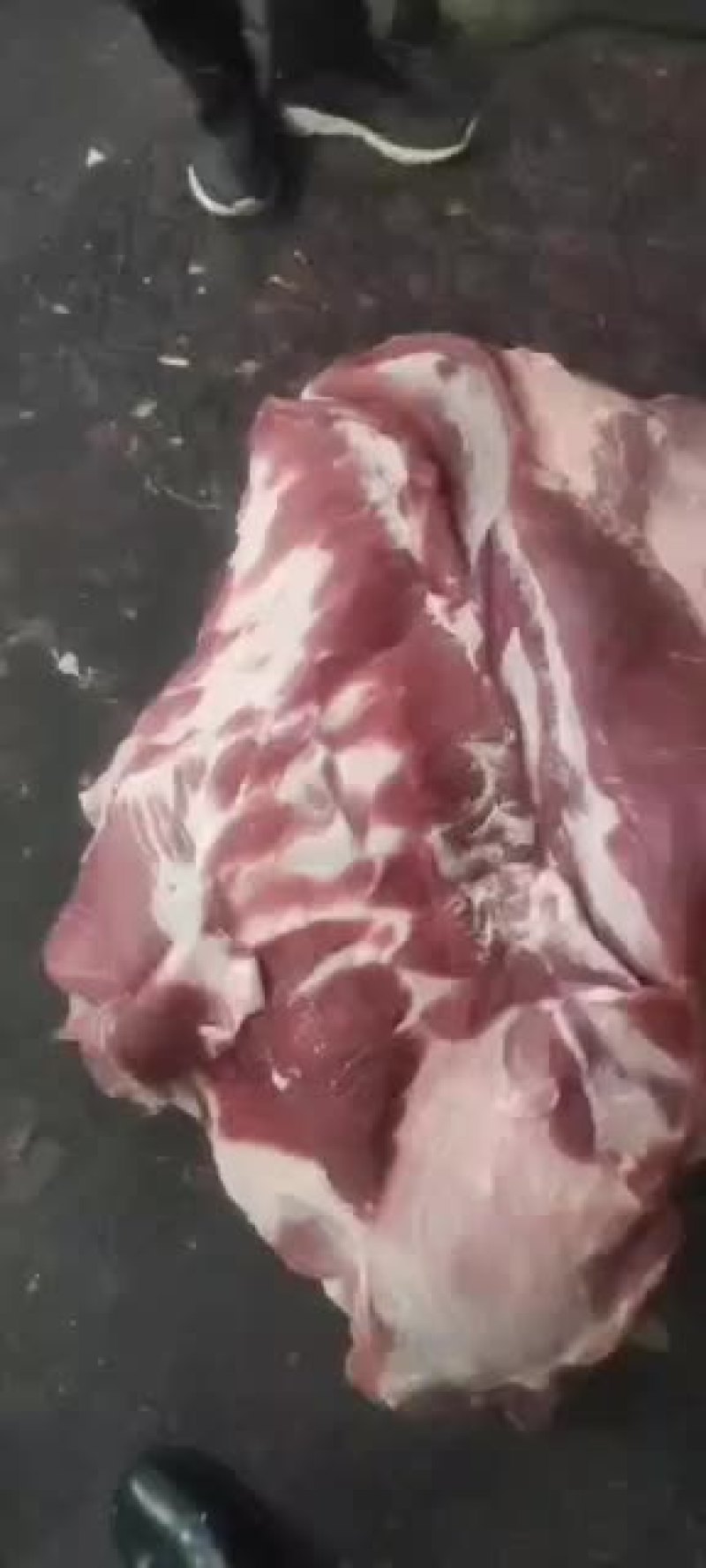 母猪带皮五花肉，，去皮五花肉