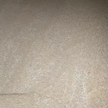 16年优质小麦容重780