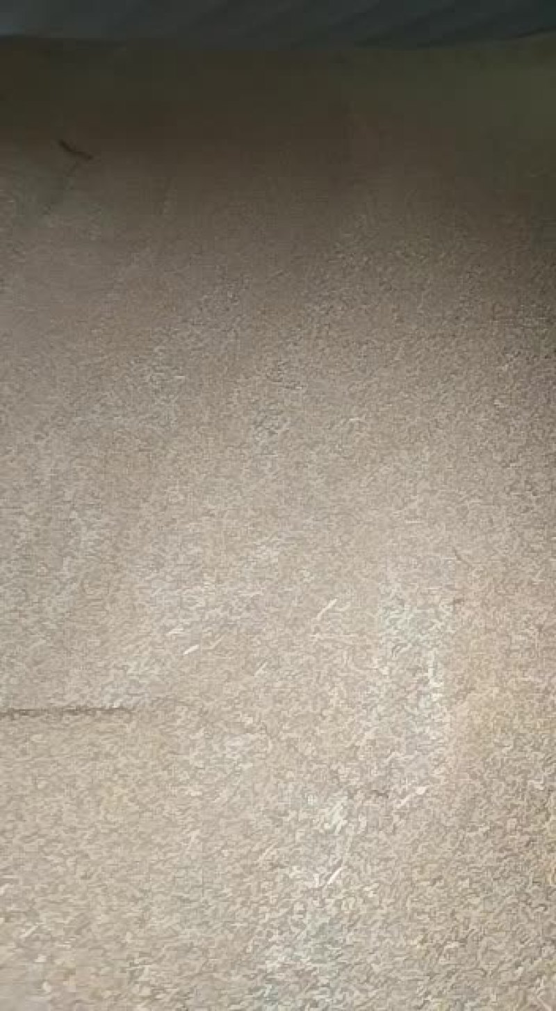 16年优质小麦容重780
