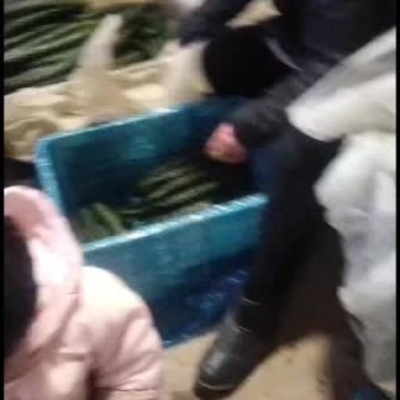 密刺黄瓜欢迎需要的新老顾客回购