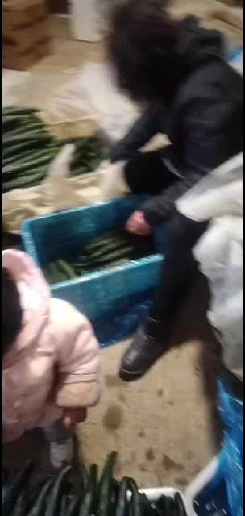 密刺黄瓜欢迎需要的新老顾客回购