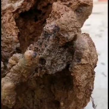 空气净化石，上水石，假山石