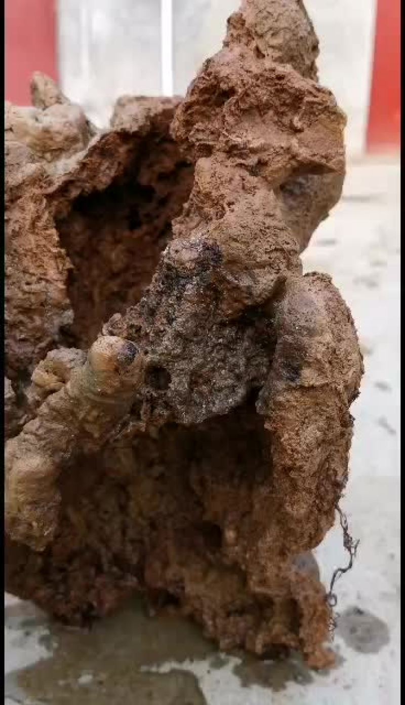 空气净化石，上水石，假山石