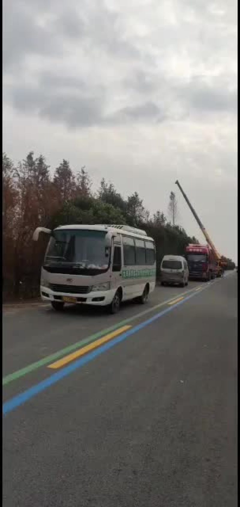北美红杉，湖北北美红杉，盐城北美红杉，盐城基地