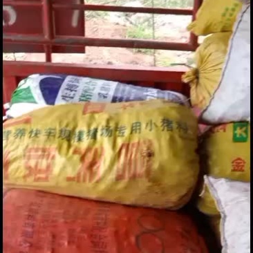 云南带泥马蹄果发货中