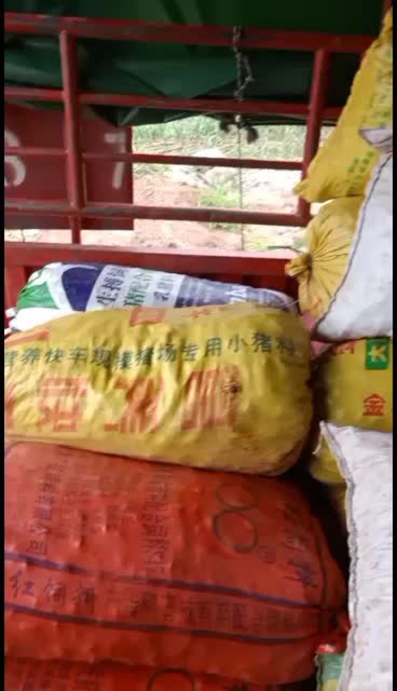 云南带泥马蹄果发货中