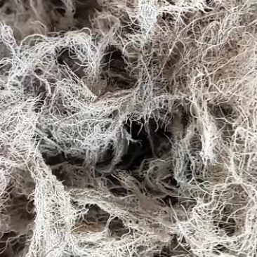 嘉煜云雾草松萝老君须500g长天蓬草金线草树挂