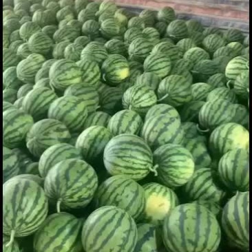 云南省德宏州精品美都