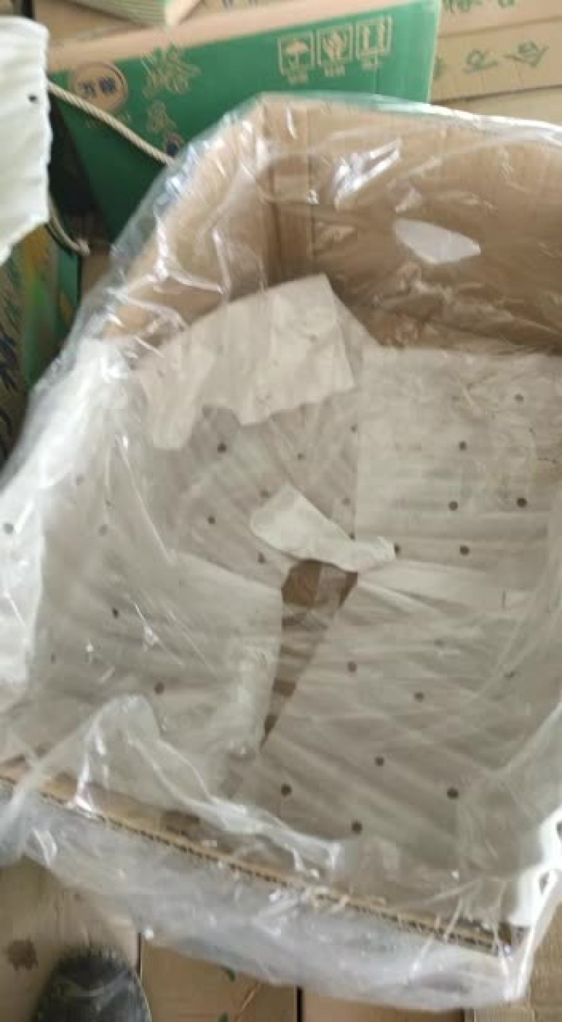 缅甸进囗全金黄香蕉，价格便宜！: