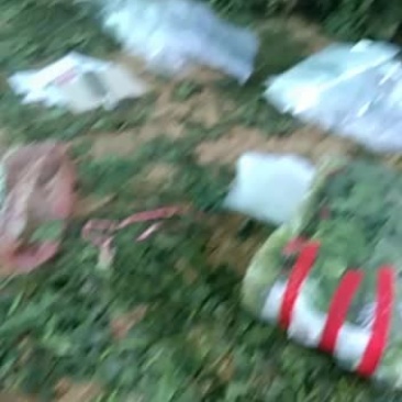 单县徐寨镇农贸市场代收