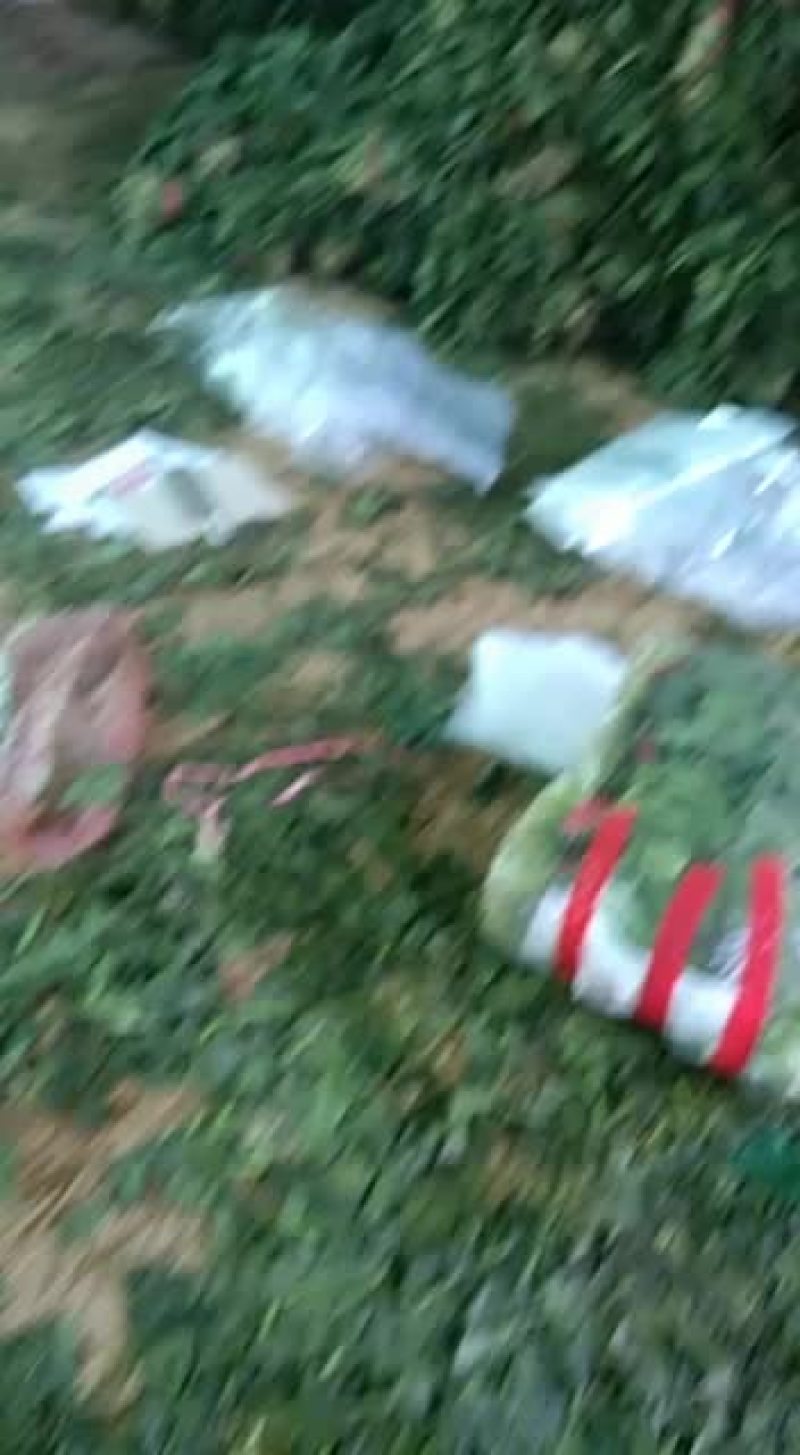 单县徐寨镇农贸市场代收