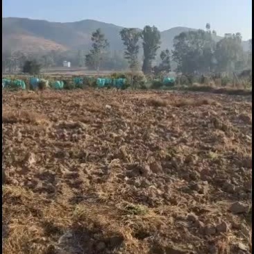 云南楚雄元谋土地出租