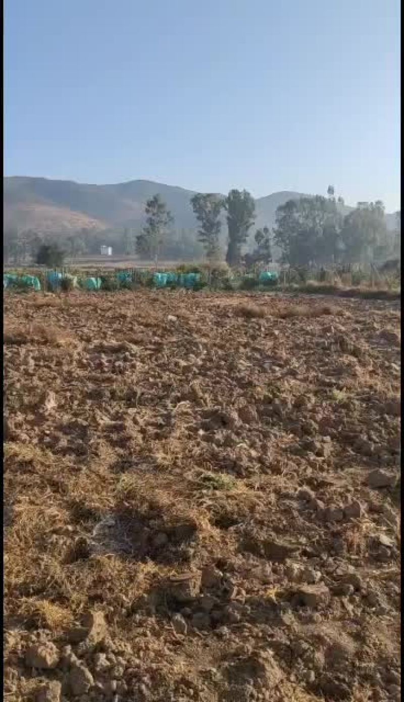 云南楚雄元谋土地出租