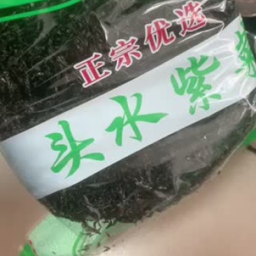 鼎鲜紫菜批发零售头水紫菜