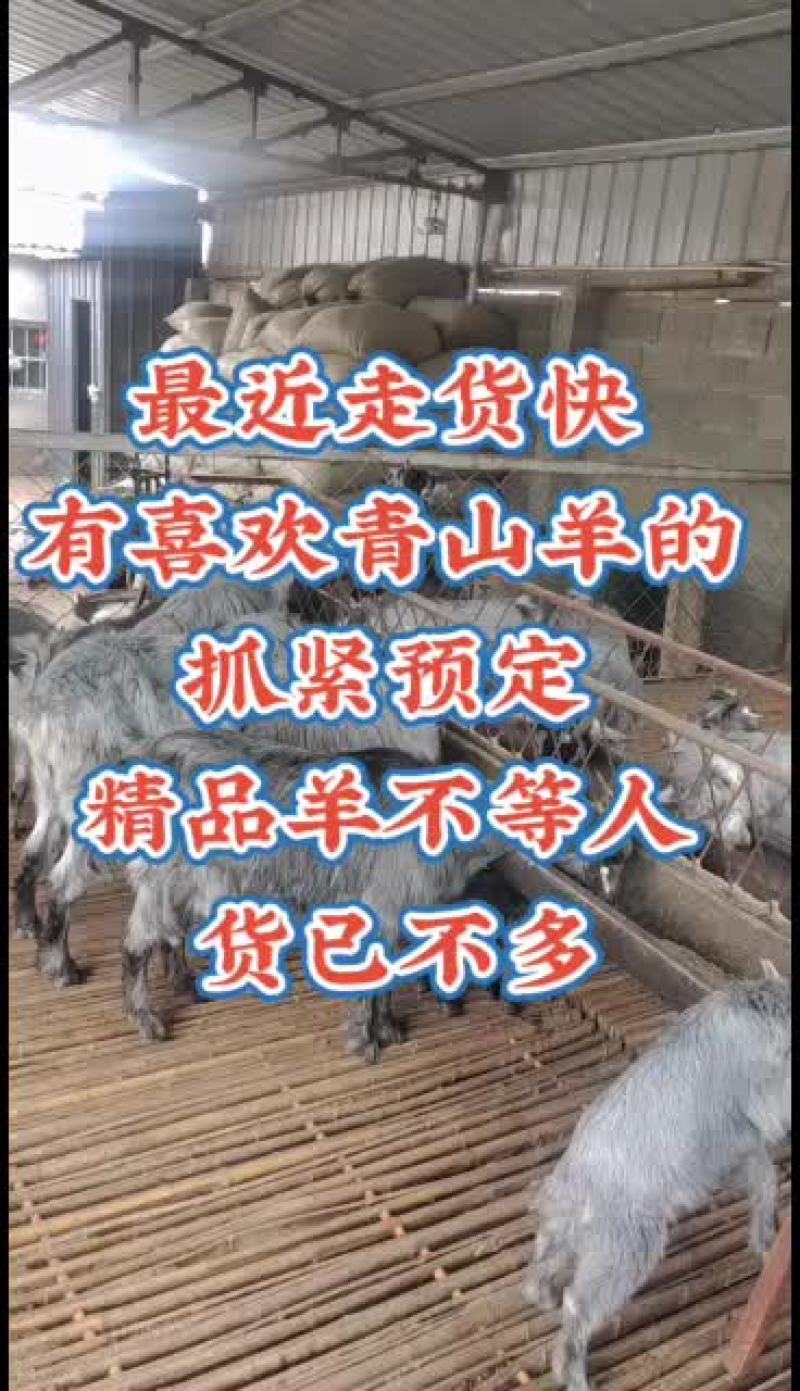 嘉祥县洪昆牛羊繁殖基地