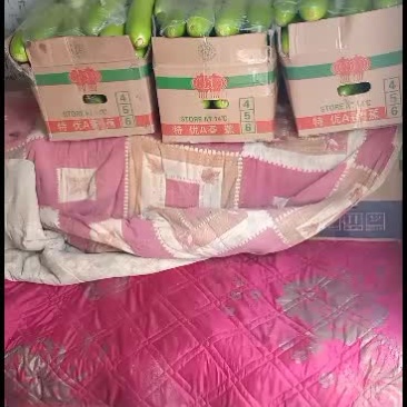 绿皮西葫芦，物美价廉