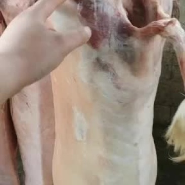 羊白条，鲜羊肉，纯干无水。全国配送，需要的联系