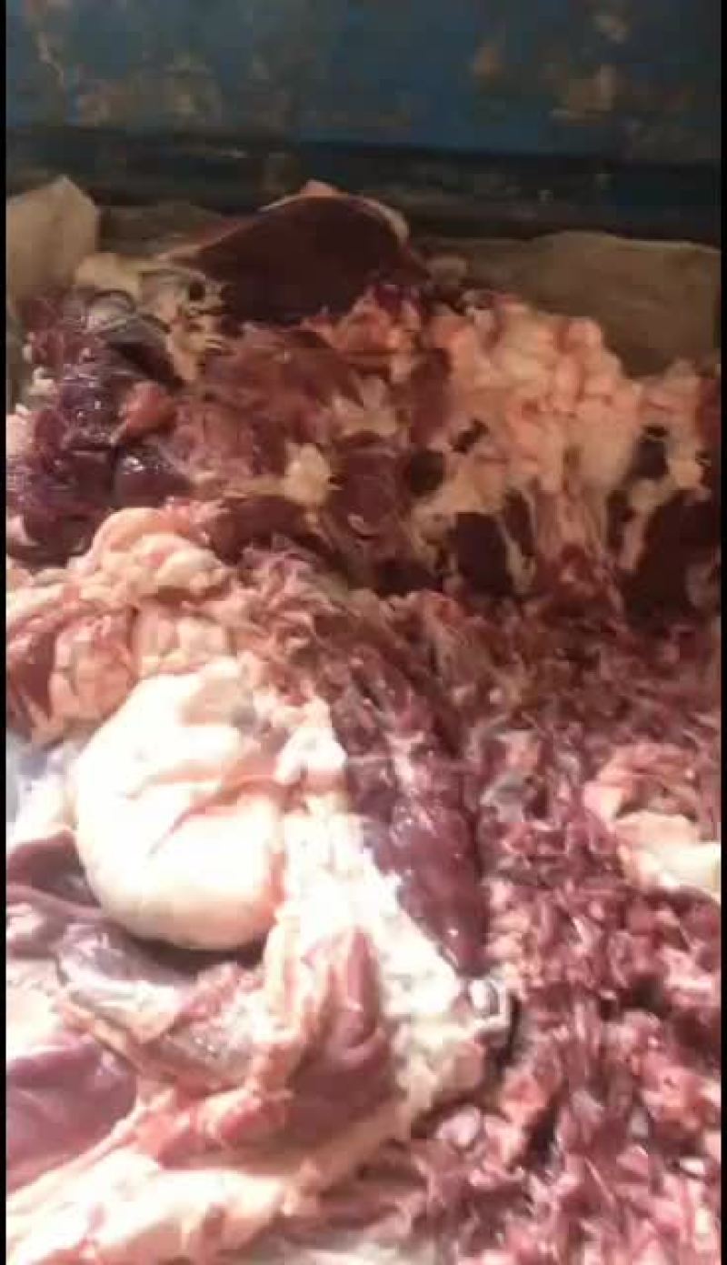 羊白条，鲜羊肉，纯干无水。全国配送，需要的联系