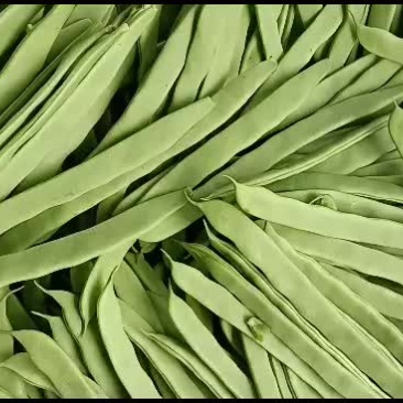 精品，一级，二级大扁芸豆