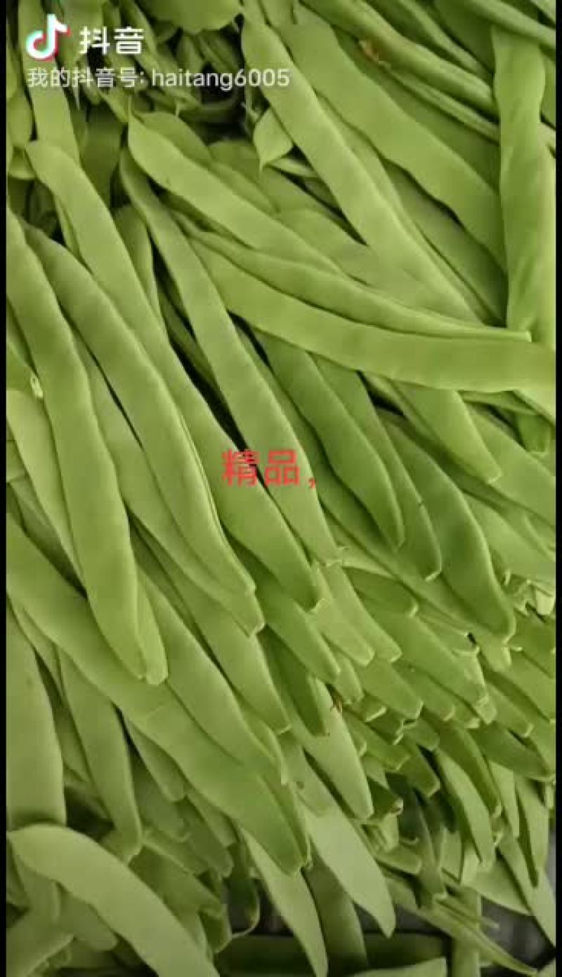 精品，一级，二级大扁芸豆