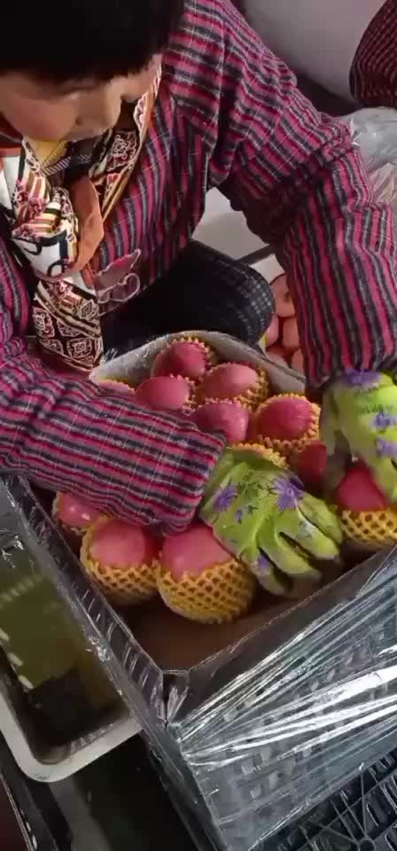 大量库存苹果，前期货个大色好，亮度好，价位合适