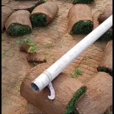 承接绿化草坪绿化工程